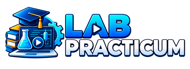 Lab Practicum